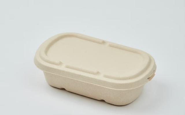 GZ Single Compartment Salad Box