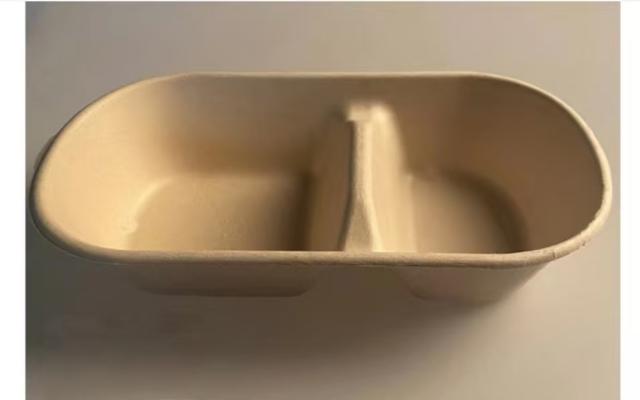 GZ Double Compartment Salad Box