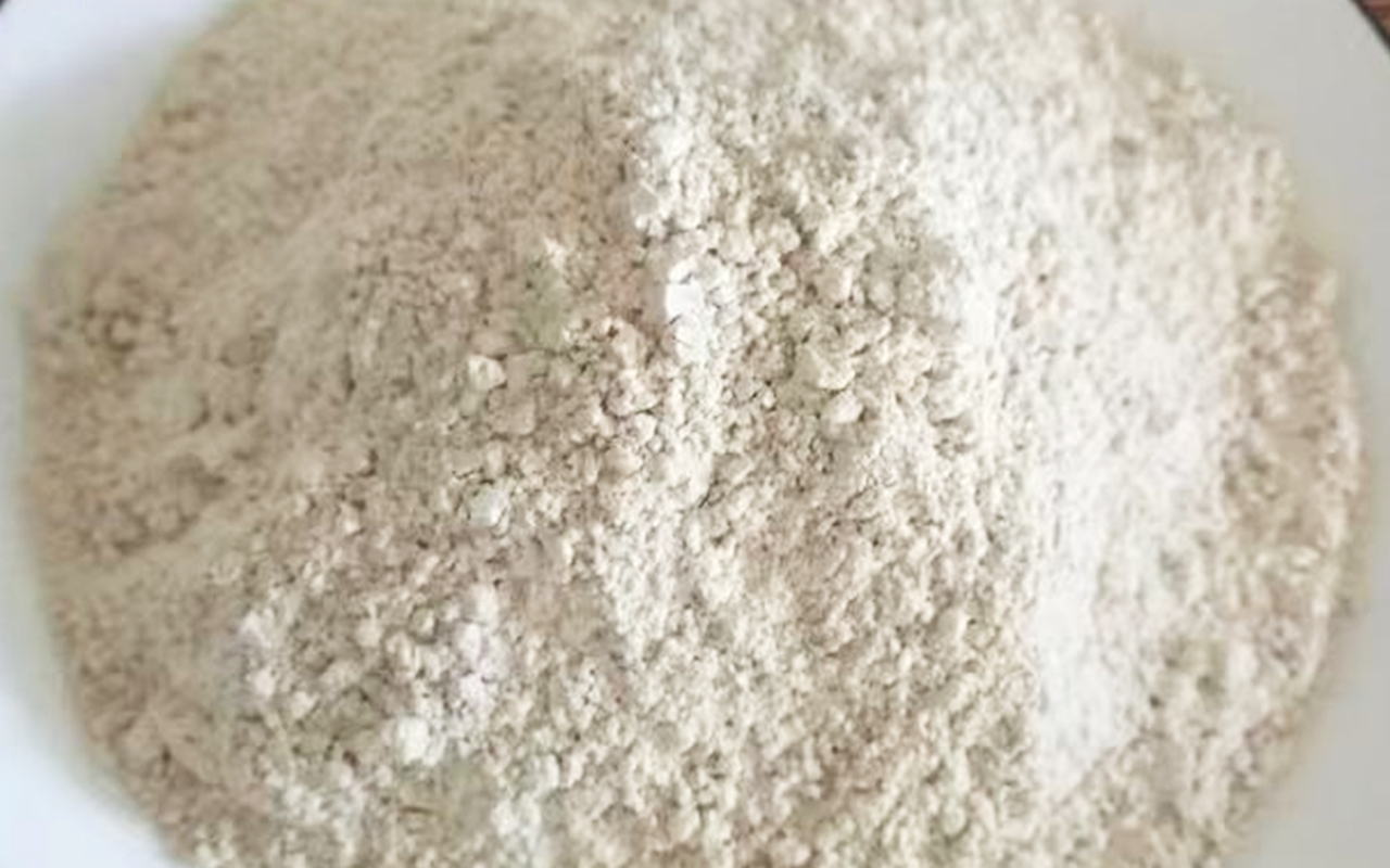 Rice Protein Powder
