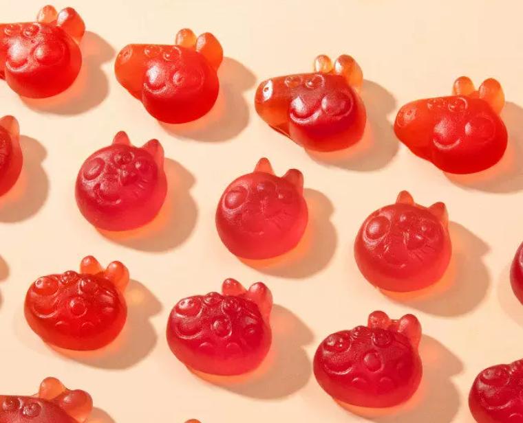 DHA Algae Oil Vitamin Gummies
